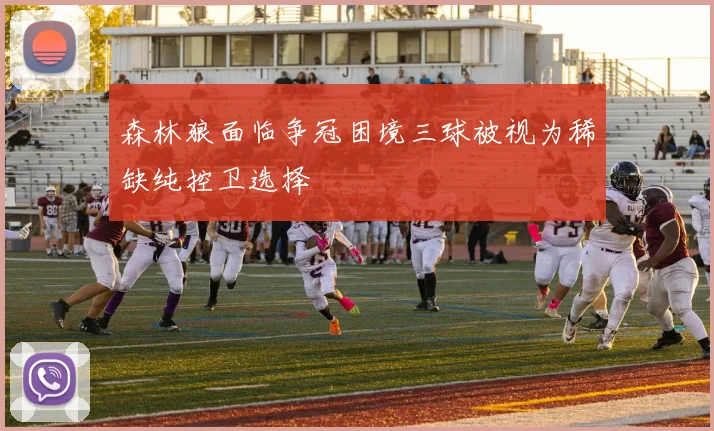 森林狼面临争冠困境三球被视为稀缺纯控卫选择