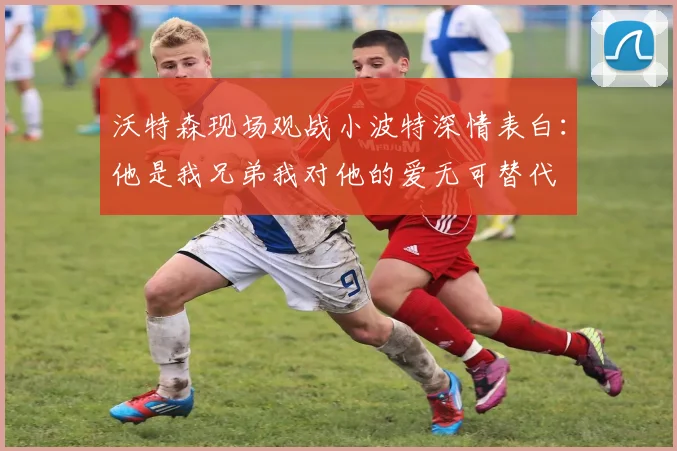 沃特森现场观战小波特深情表白：他是我兄弟我对他的爱无可替代